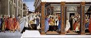 BOTTICELLI, Sandro Baptism of St Zenobius and His Appointment as Bishop oil painting